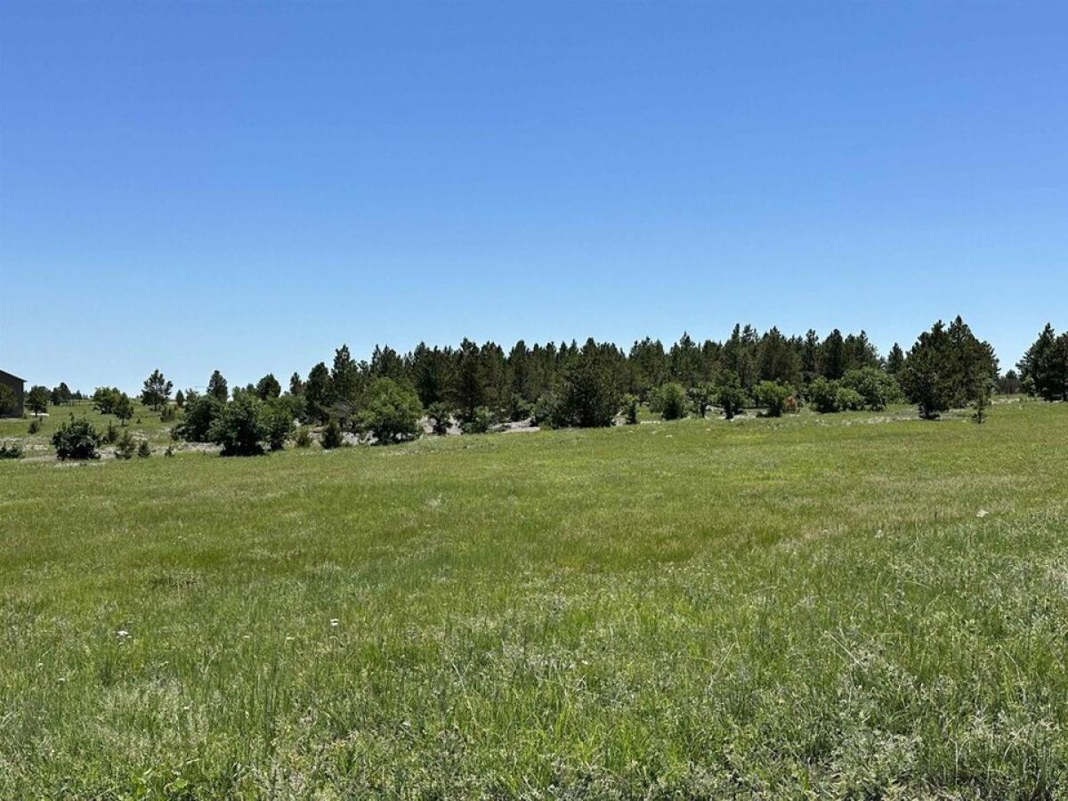 Picture of Residential Land For Sale in Sturgis, South Dakota, United States