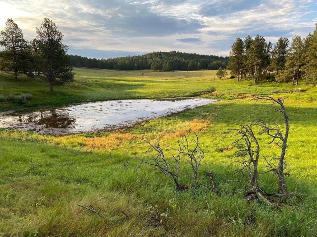 Picture of Home For Sale in Hot Springs, South Dakota, United States