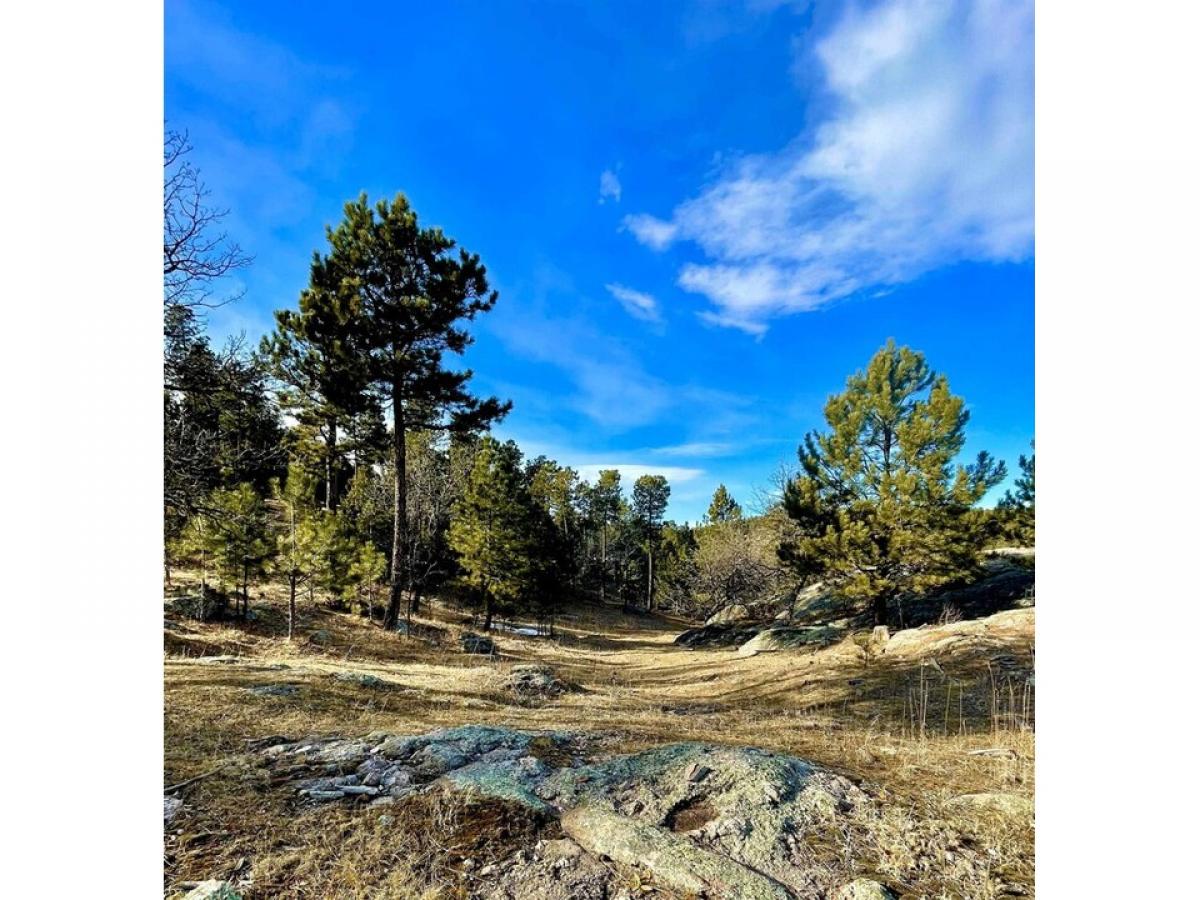 Picture of Residential Land For Sale in Hermosa, South Dakota, United States