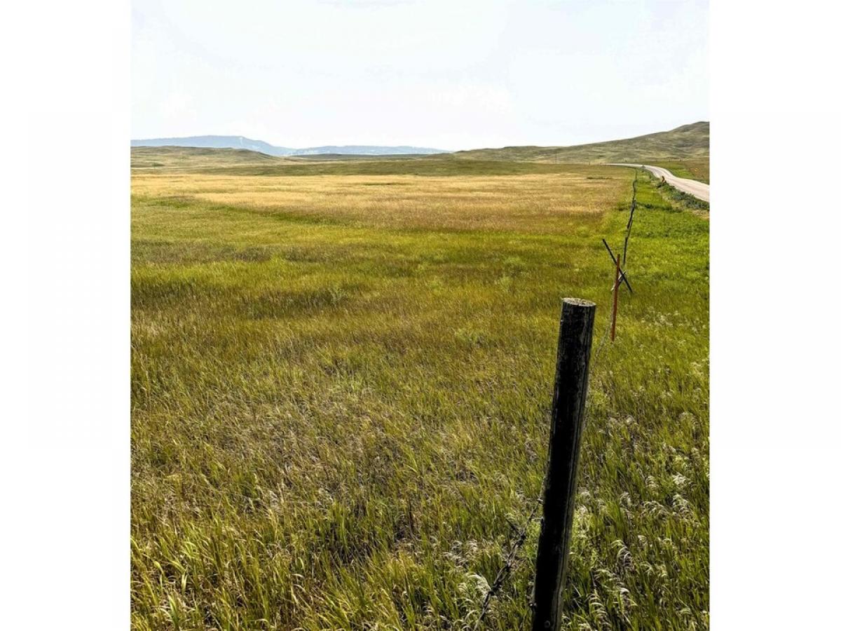 Picture of Residential Land For Sale in Rapid City, South Dakota, United States