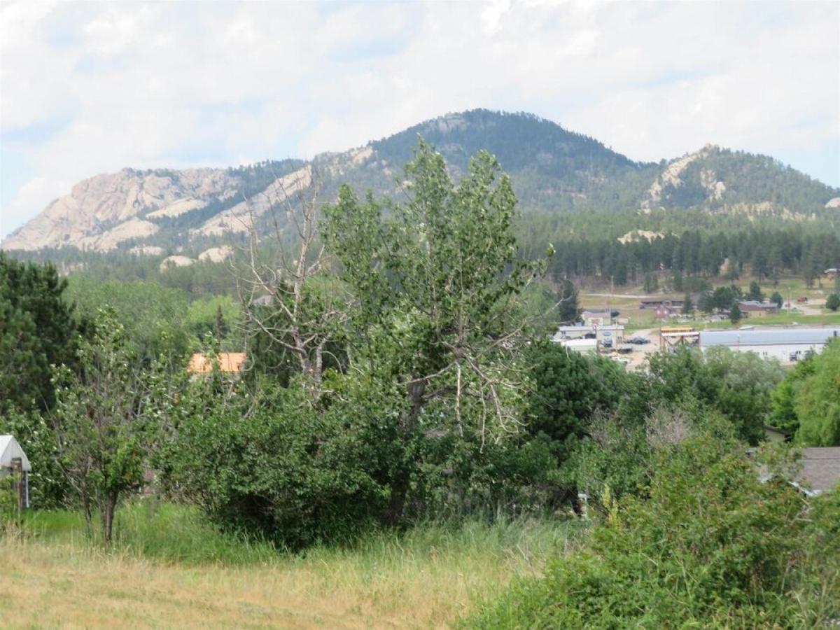 Picture of Residential Land For Sale in Custer, South Dakota, United States