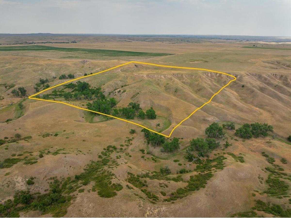 Picture of Residential Land For Sale in Buffalo Gap, South Dakota, United States