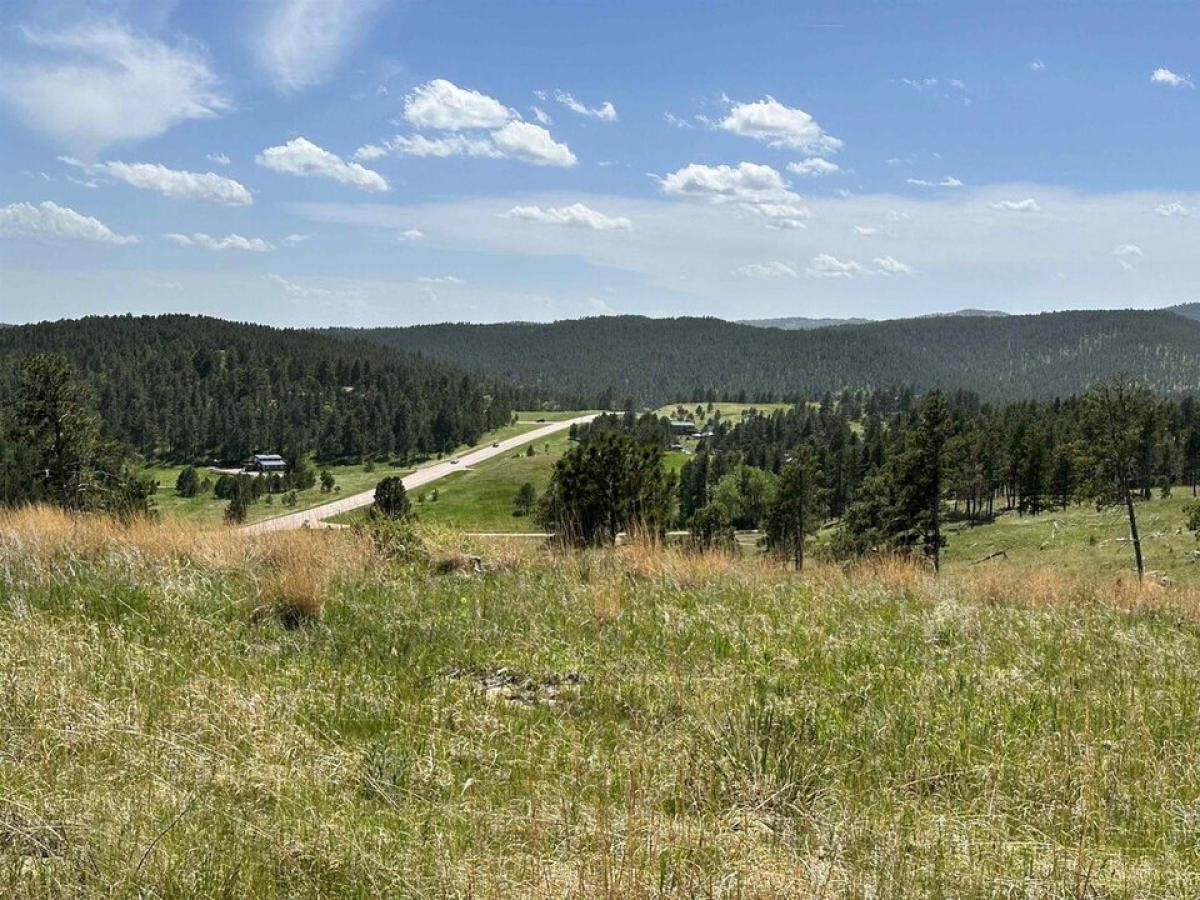 Picture of Residential Land For Sale in Keystone, South Dakota, United States