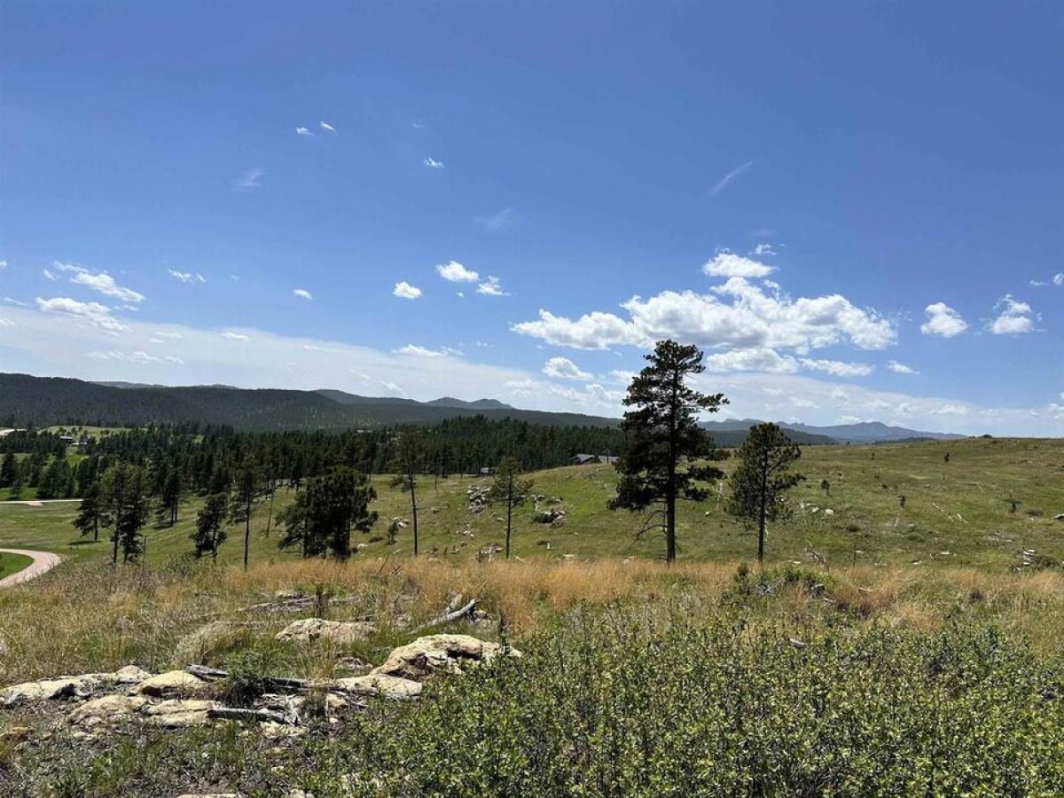 Picture of Residential Land For Sale in Keystone, South Dakota, United States