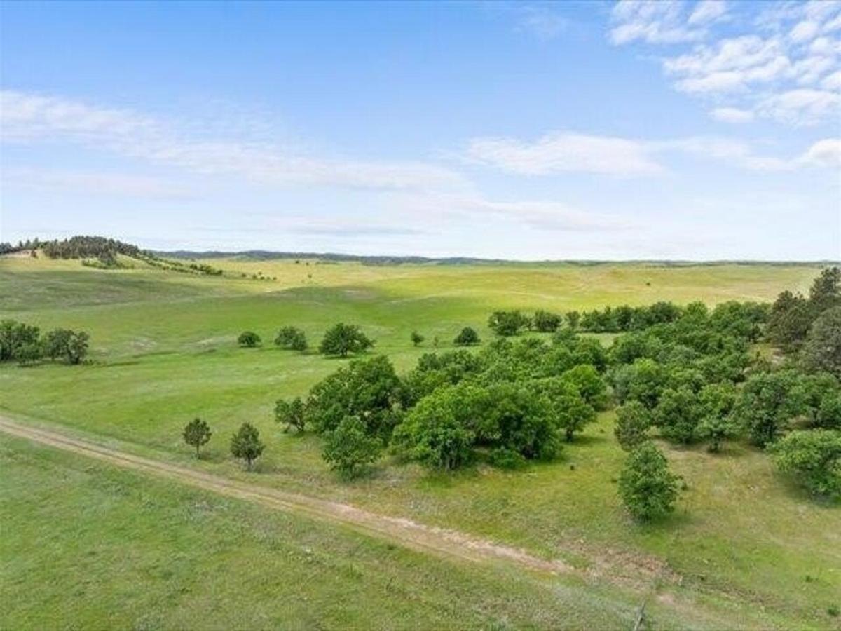 Picture of Residential Land For Sale in Whitewood, South Dakota, United States