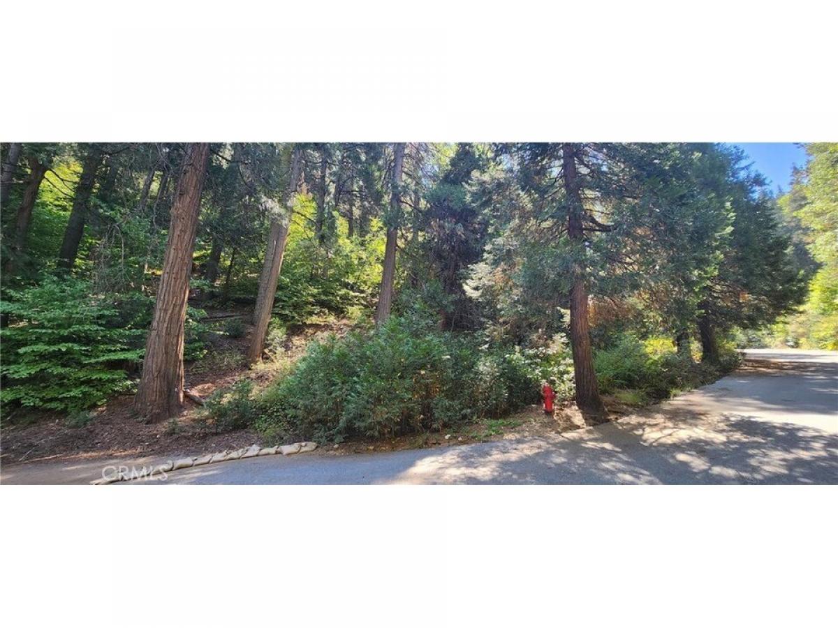 Picture of Residential Land For Sale in Lake Arrowhead, California, United States