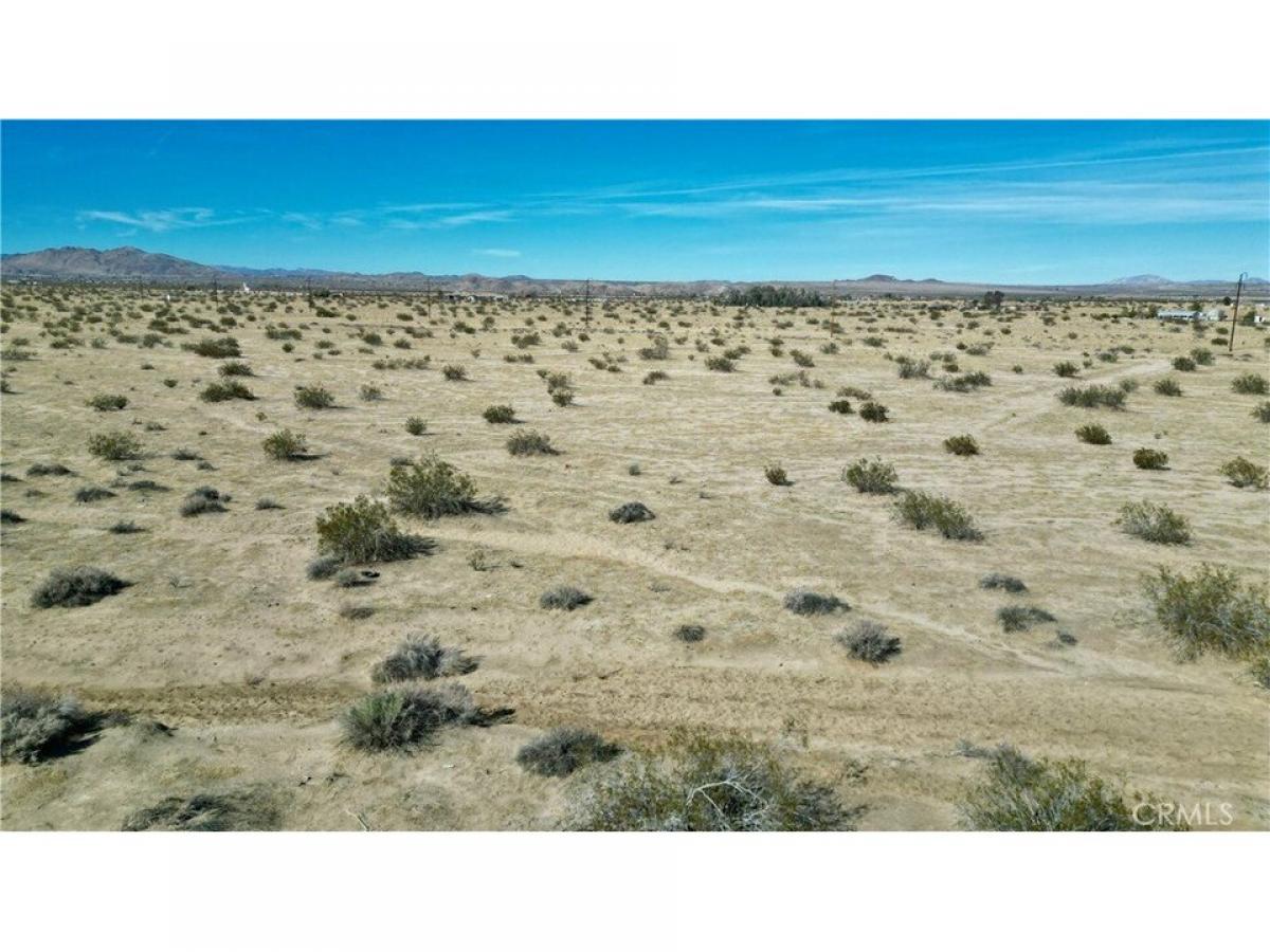 Picture of Residential Land For Sale in Joshua Tree, California, United States