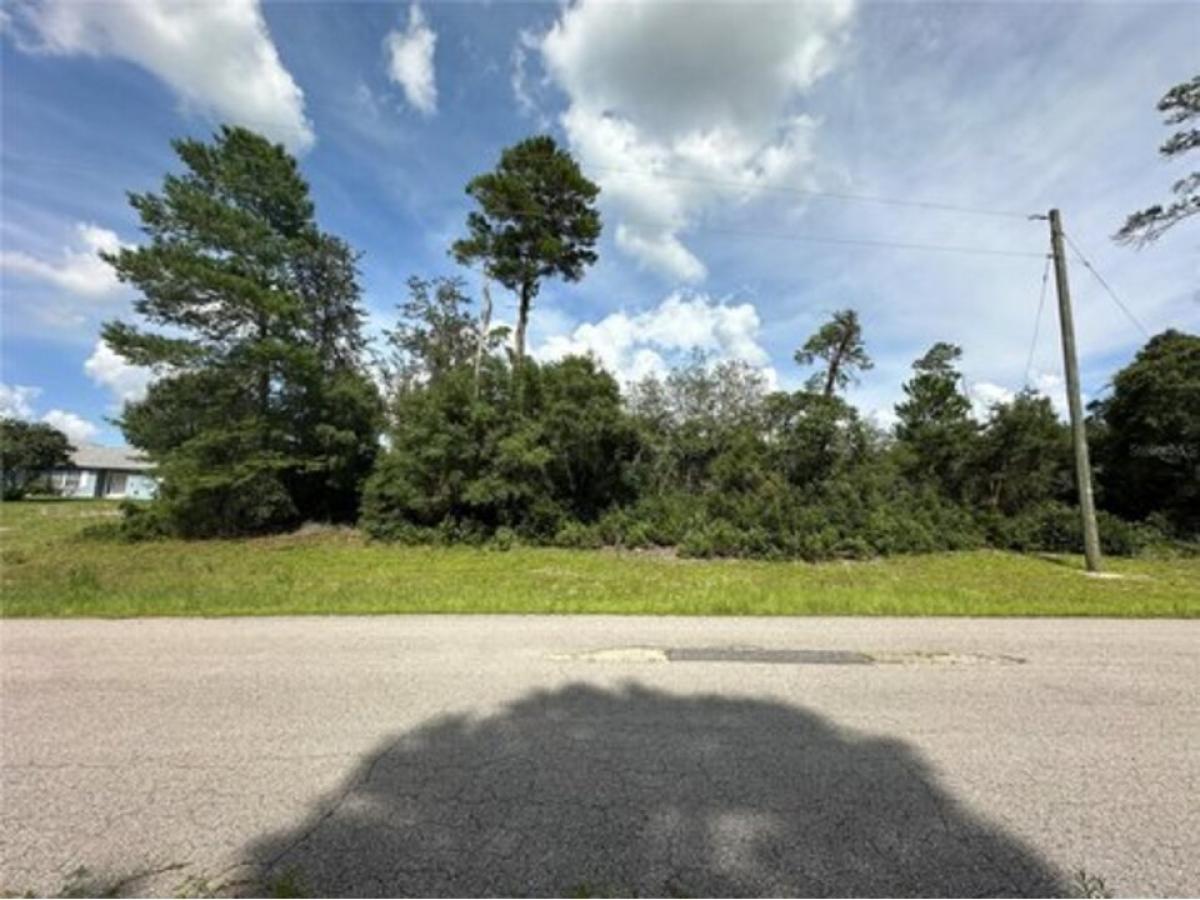 Picture of Residential Land For Sale in Ocala, Florida, United States