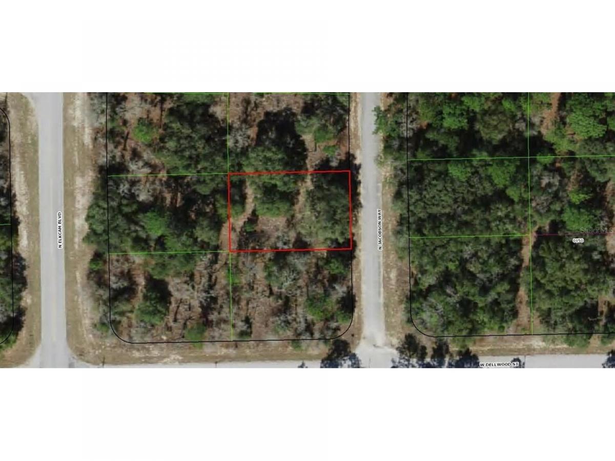 Picture of Residential Land For Sale in Dunnellon, Florida, United States