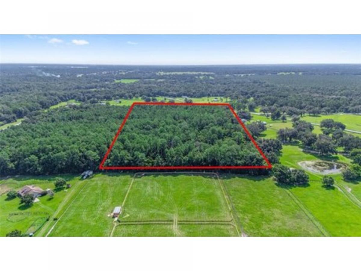 Picture of Residential Land For Sale in Ocala, Florida, United States