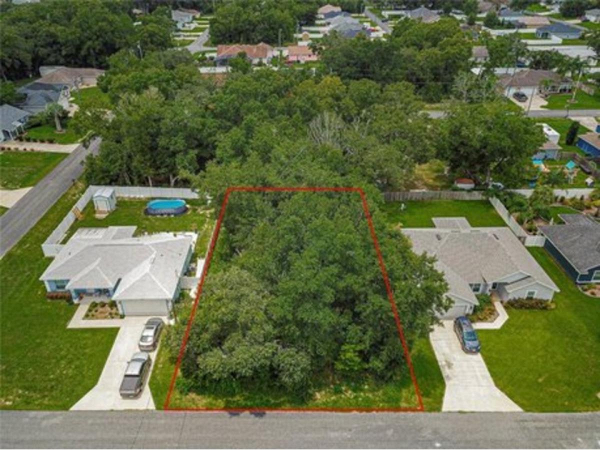 Picture of Residential Land For Sale in Summerfield, Florida, United States