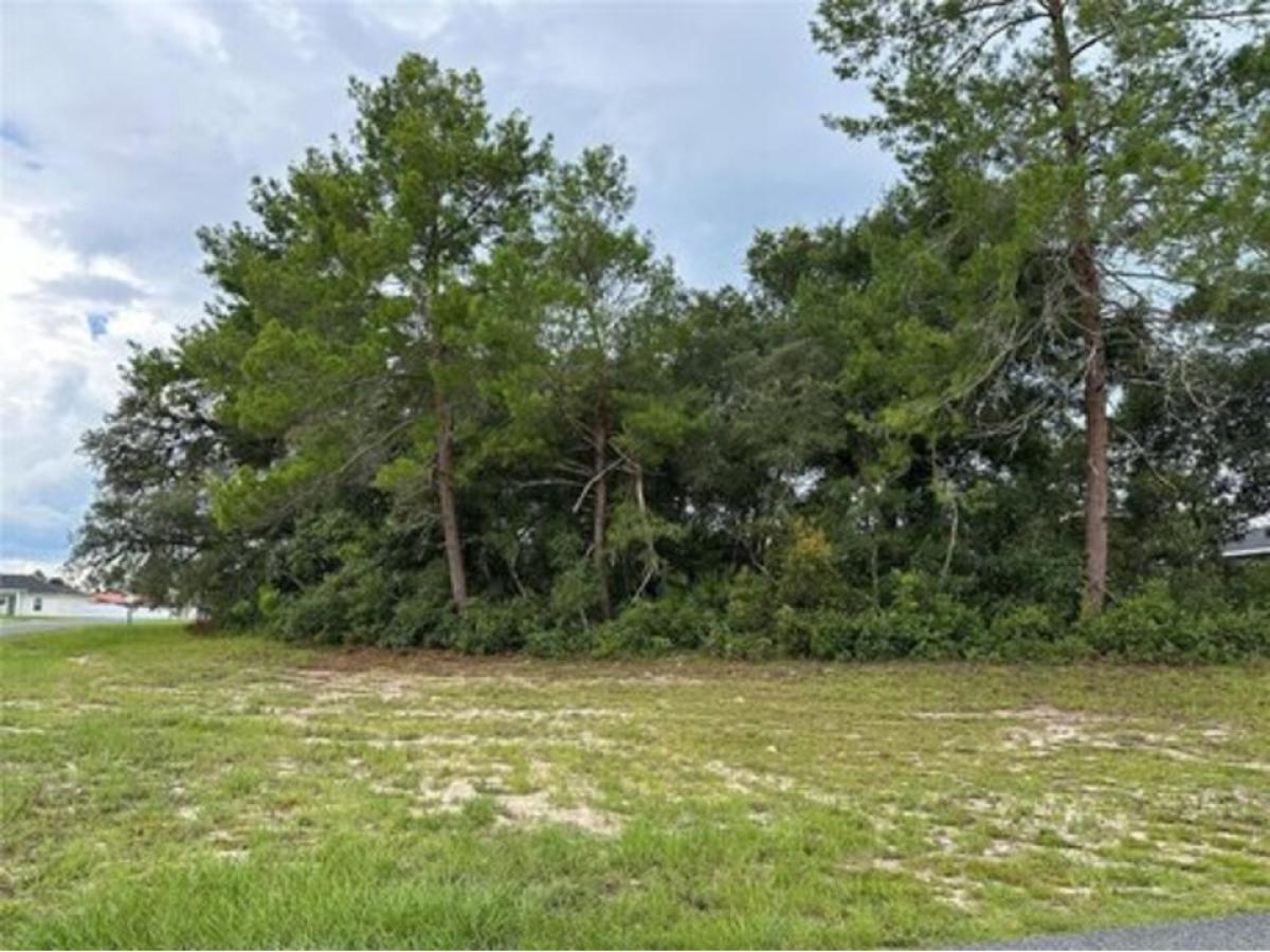 Picture of Residential Land For Sale in Ocala, Florida, United States