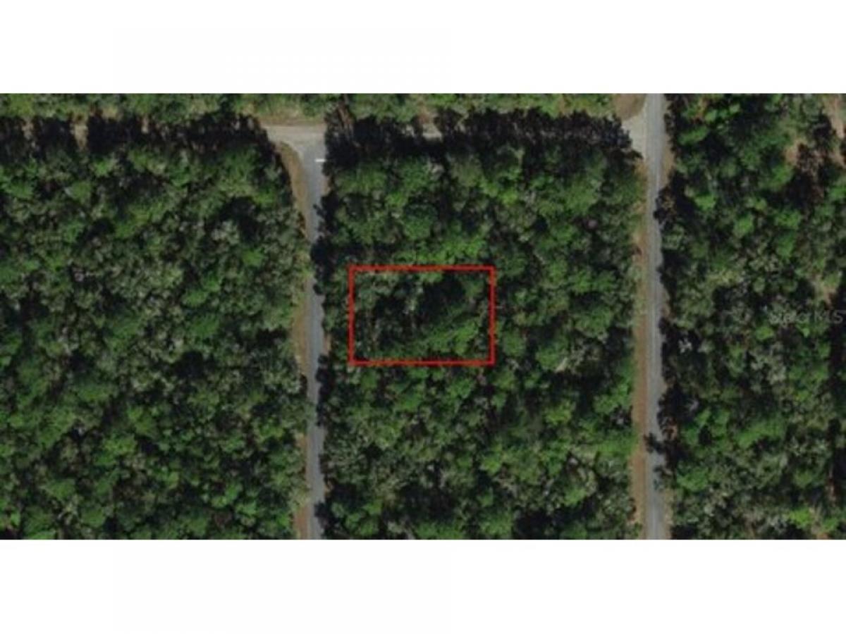 Picture of Residential Land For Sale in Dunnellon, Florida, United States