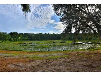 Residential Land For Sale in Weirsdale, Florida