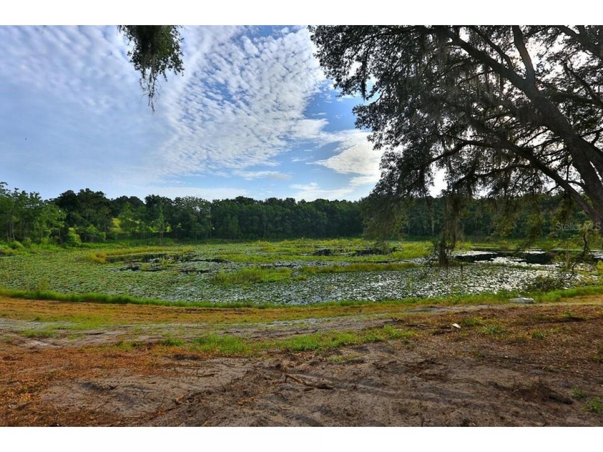 Picture of Residential Land For Sale in Weirsdale, Florida, United States