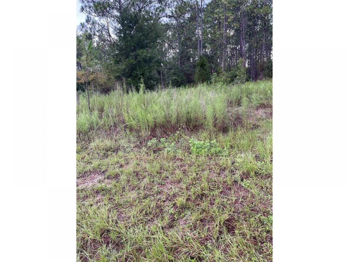 Picture of Residential Land For Sale in Dunnellon, Florida, United States