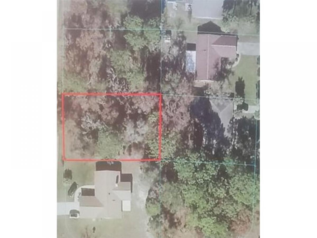 Picture of Residential Land For Sale in Ocala, Florida, United States