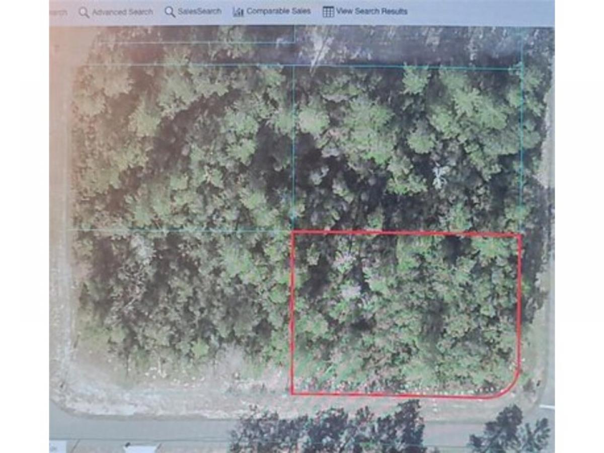 Picture of Residential Land For Sale in Ocala, Florida, United States