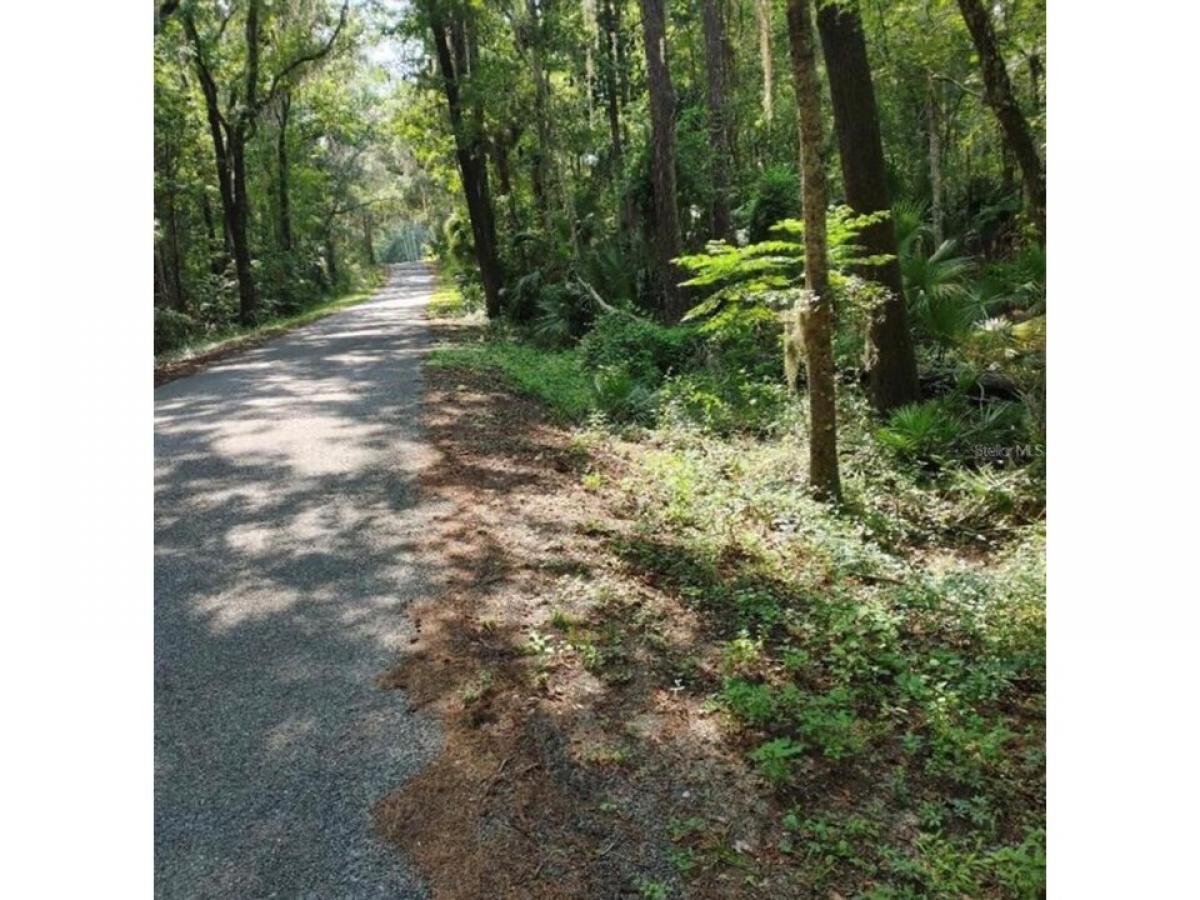 Picture of Residential Land For Sale in Micanopy, Florida, United States