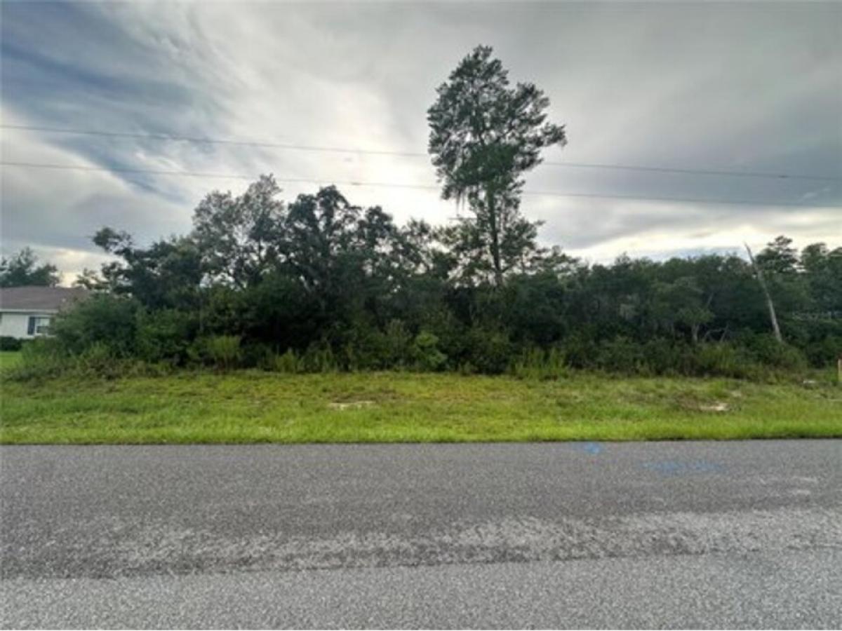 Picture of Residential Land For Sale in Ocala, Florida, United States