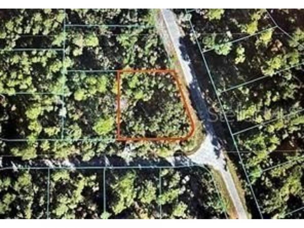 Picture of Residential Land For Sale in Ocklawaha, Florida, United States