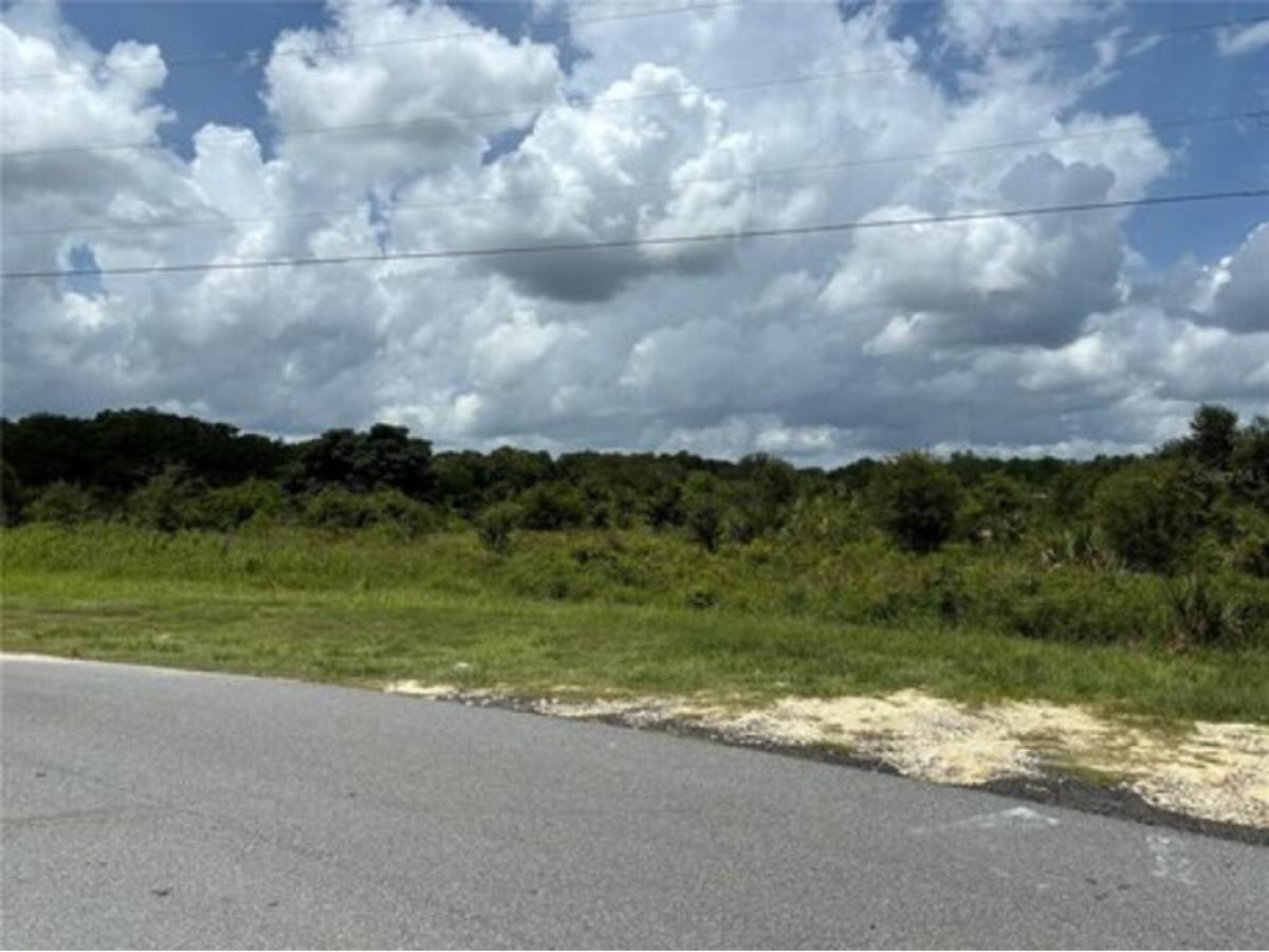 Picture of Residential Land For Sale in Chiefland, Florida, United States