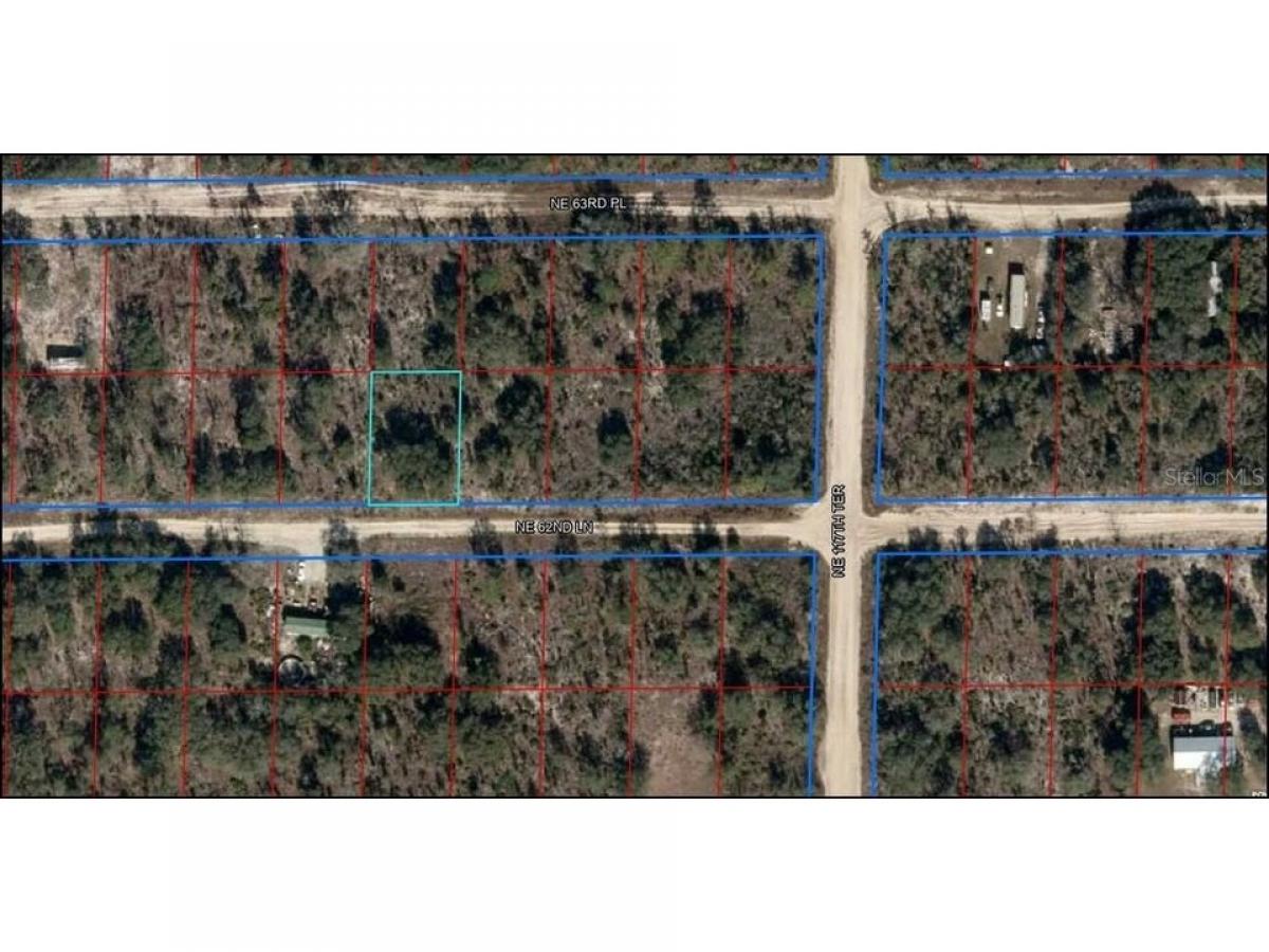 Picture of Residential Land For Sale in Williston, Florida, United States