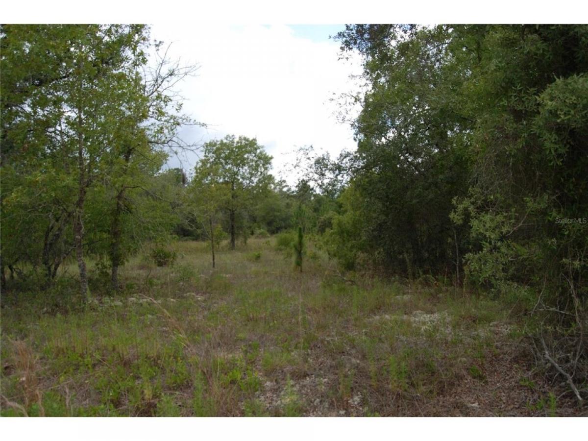 Picture of Residential Land For Sale in Dunnellon, Florida, United States