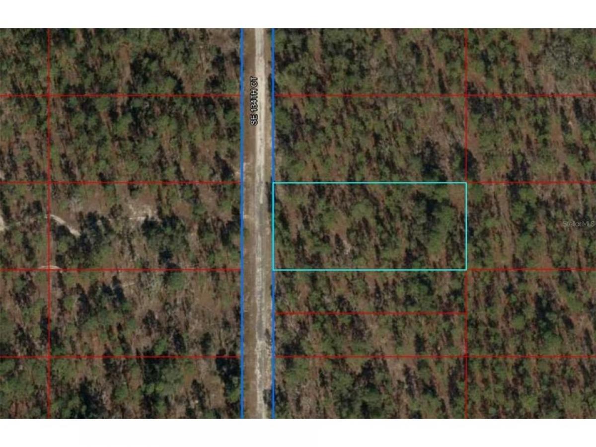 Picture of Residential Land For Sale in Dunnellon, Florida, United States