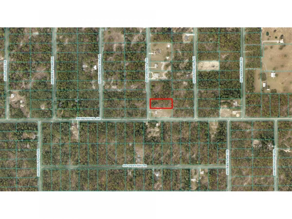 Picture of Residential Land For Sale in Dunnellon, Florida, United States