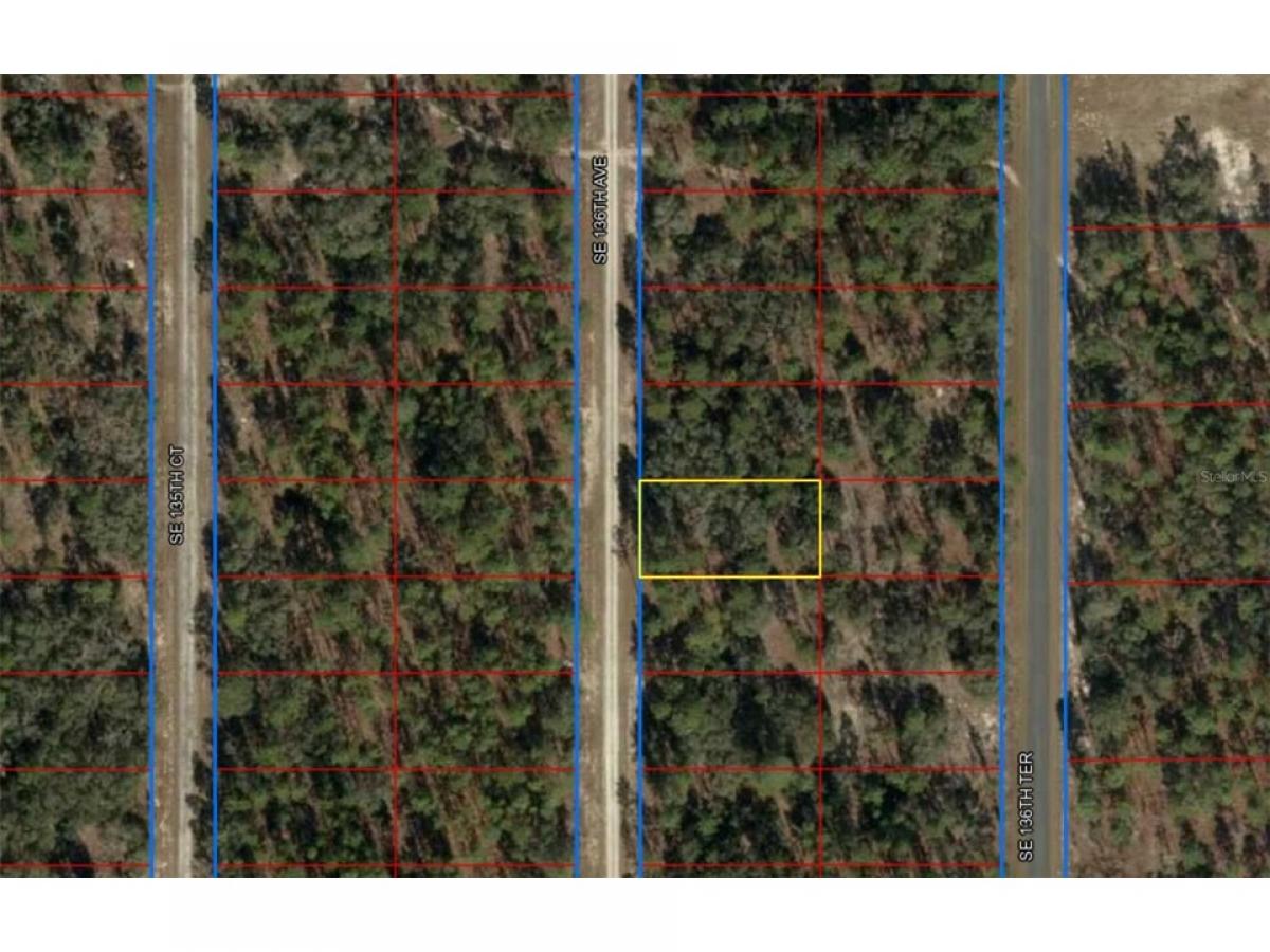 Picture of Residential Land For Sale in Dunnellon, Florida, United States