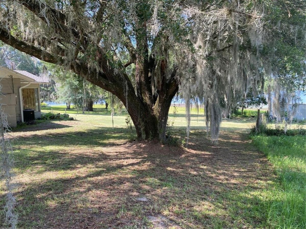 Picture of Residential Land For Sale in Dunnellon, Florida, United States