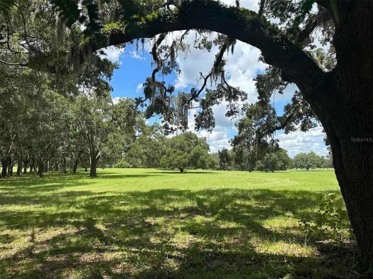 Picture of Residential Land For Sale in Morriston, Florida, United States