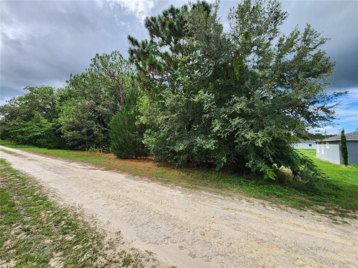 Picture of Residential Land For Sale in Ocala, Florida, United States