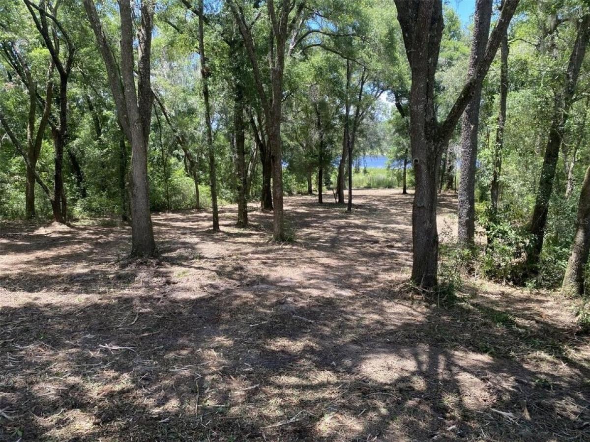 Picture of Residential Land For Sale in Dunnellon, Florida, United States