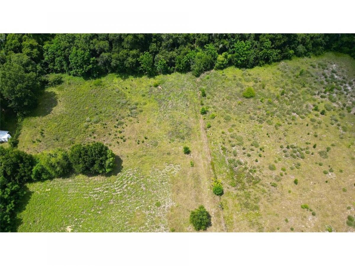 Picture of Home For Sale in Summerfield, Florida, United States