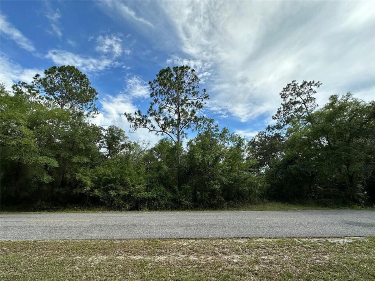 Picture of Residential Land For Sale in Fort Mc Coy, Florida, United States