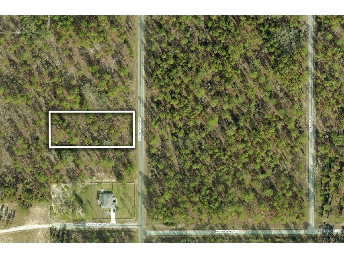 Picture of Residential Land For Sale in Dunnellon, Florida, United States