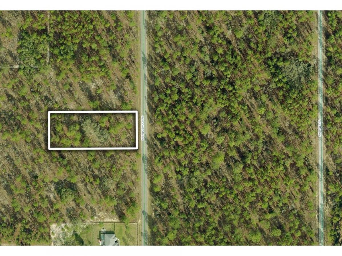 Picture of Residential Land For Sale in Dunnellon, Florida, United States