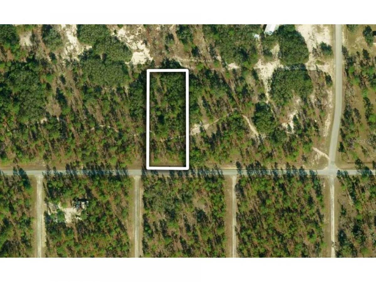 Picture of Residential Land For Sale in Dunnellon, Florida, United States