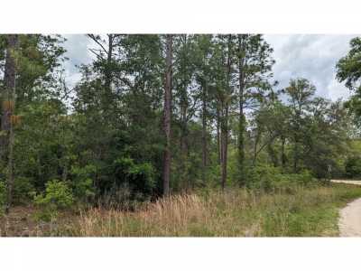 Residential Land For Sale in Ocala, Florida