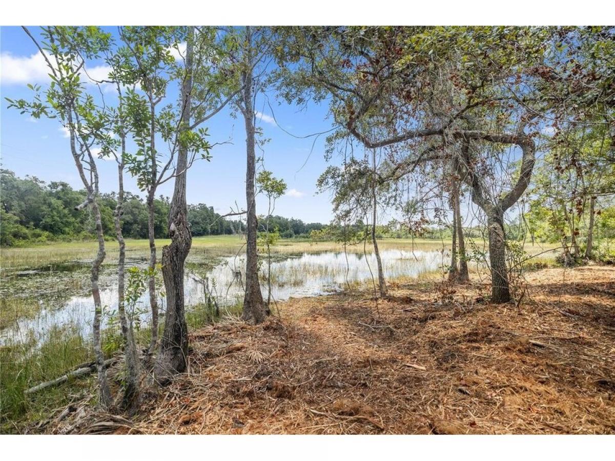 Picture of Residential Land For Sale in Ocklawaha, Florida, United States