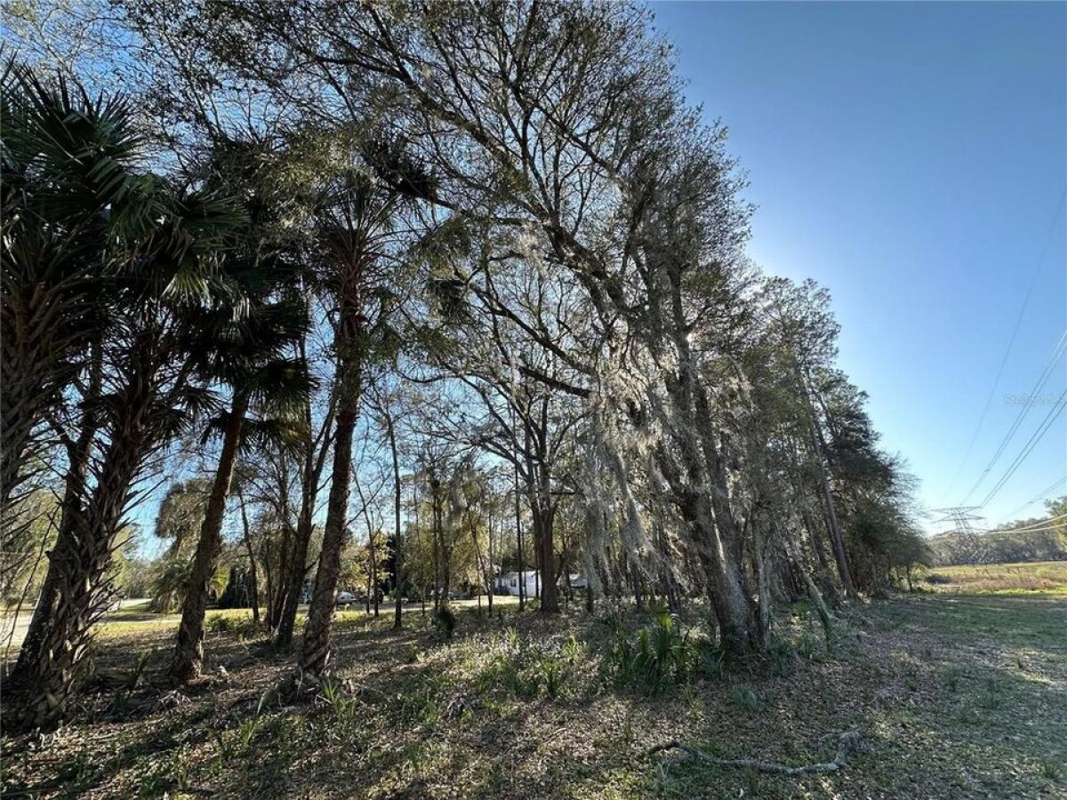 Picture of Residential Land For Sale in Fort Mc Coy, Florida, United States