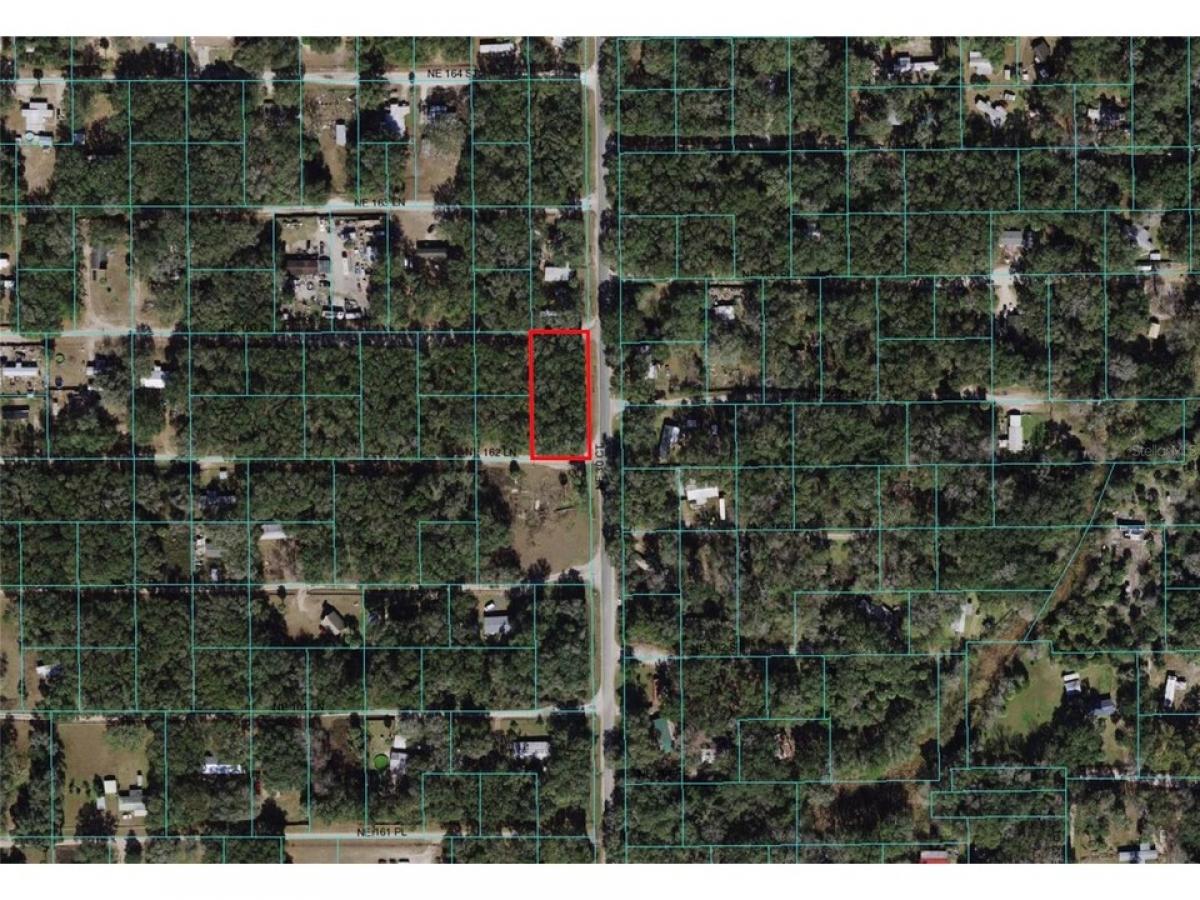 Picture of Residential Land For Sale in Citra, Florida, United States