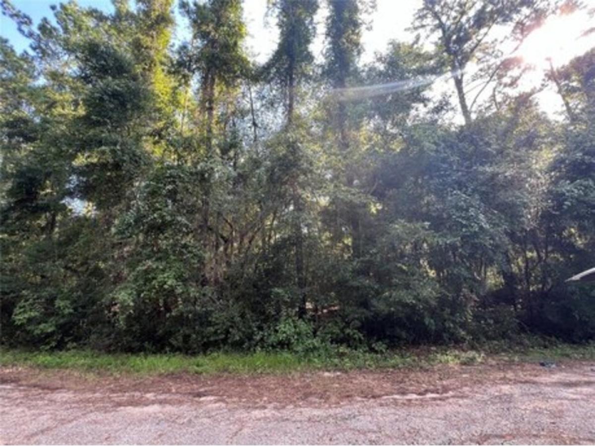 Picture of Residential Land For Sale in Citrus Springs, Florida, United States