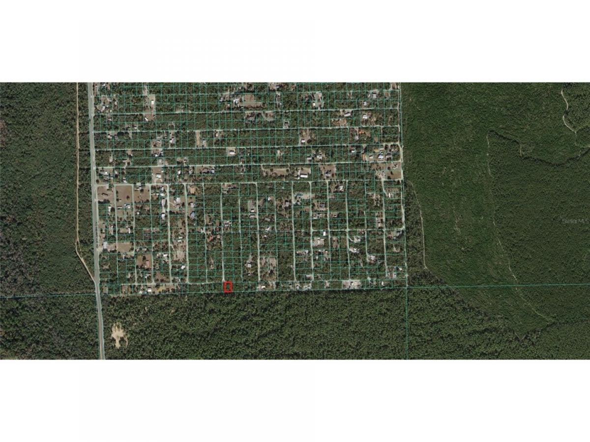 Picture of Residential Land For Sale in Fort Mc Coy, Florida, United States