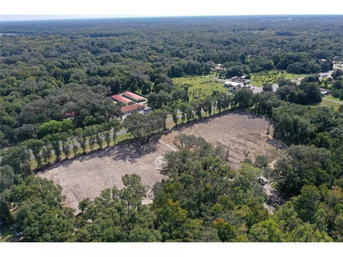 Picture of Residential Land For Sale in Citra, Florida, United States