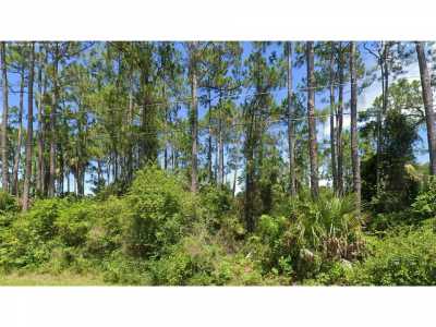 Residential Land For Sale in Palm Coast, Florida