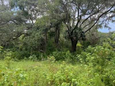 Residential Land For Sale in Micanopy, Florida