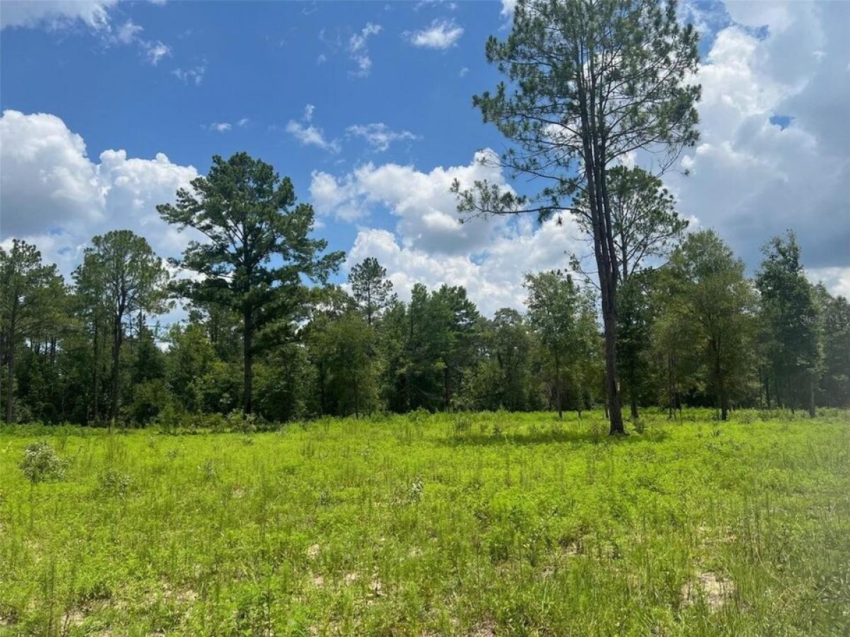 Picture of Residential Land For Sale in Bronson, Florida, United States